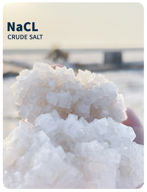 rb88随行版_官网官网入口